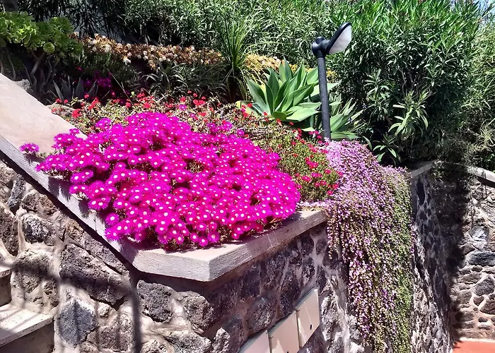 Don Felipe Boutique Hotel